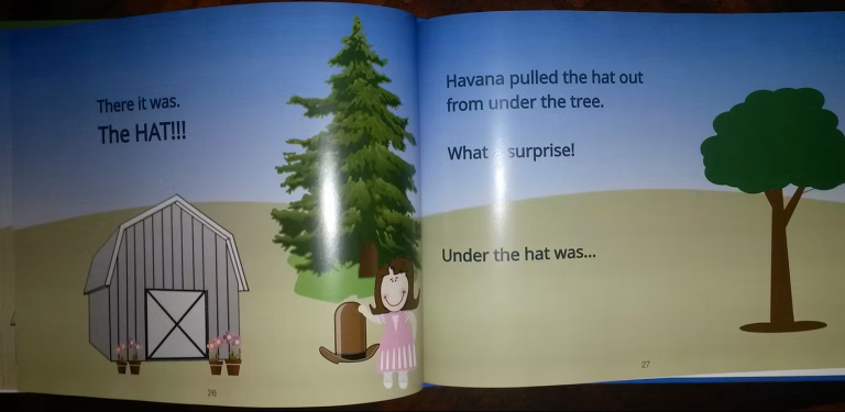 hav-hat14